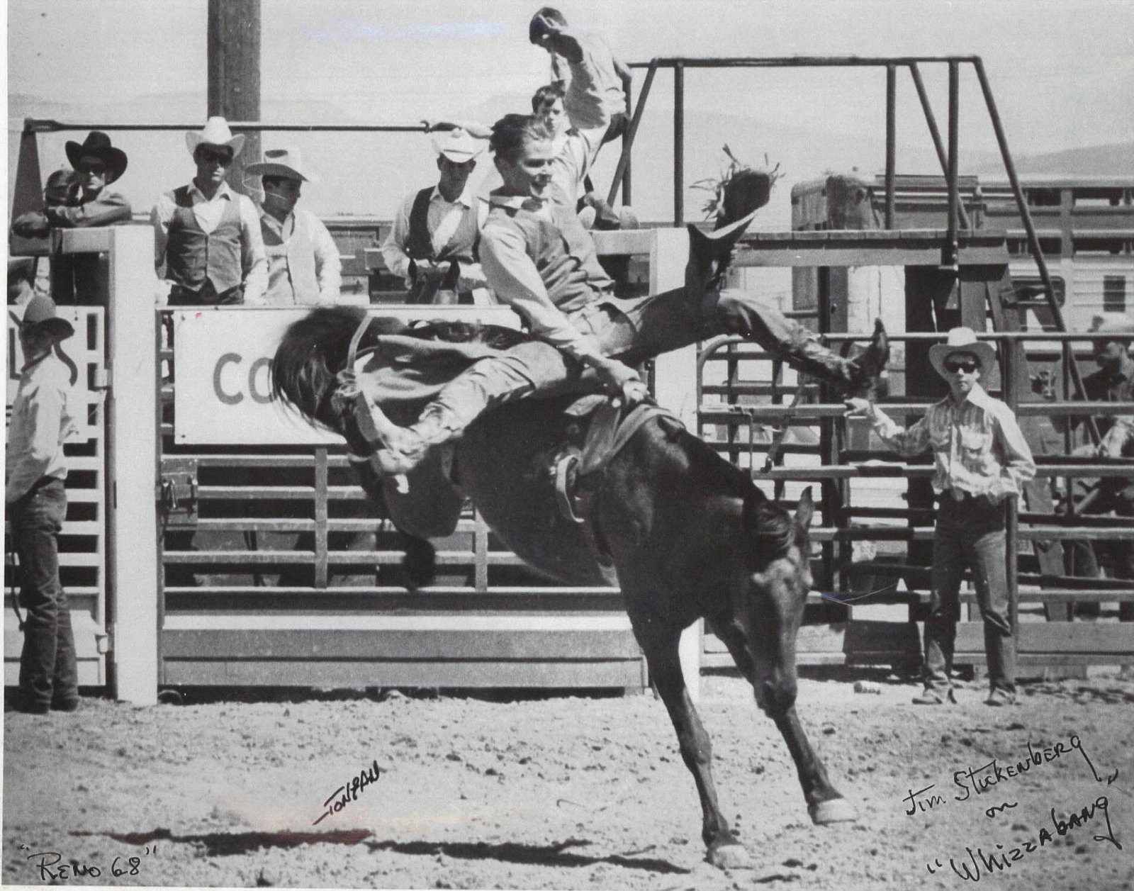 Jim Stuckenberg riding Whizzabang at Reno in 1968